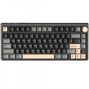 ROYAL KLUDGE R75 Phantom, Brown Switch, US (RKR75-PT-C)