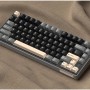 ROYAL KLUDGE R75 Phantom, Brown Switch, US (RKR75-PT-C)