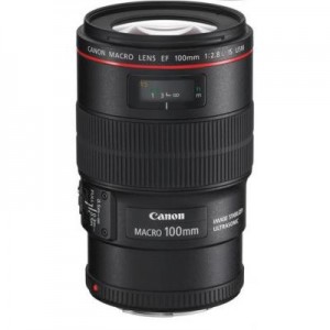 Canon EF 100mm f/2.8L IS USM Macro
