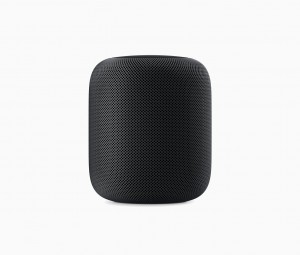 Apple HomePod Space Gray MQHW2
