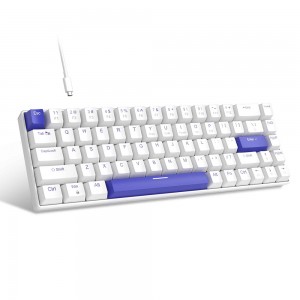 Magegee MK-BOX Klein Blue, RGB, Blue Whale Switch, US (MK-BOX-Klein-Blue)