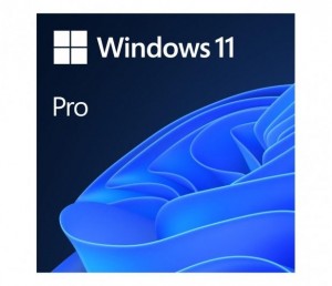 Microsoft Windows 11 Pro 1 license(s) (FQC-10544)