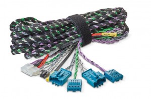 Focal IW BMW IMP 2.1