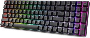 ROYAL KLUDGE RK100 Black, Brown Switch, US (RK100-B-B)