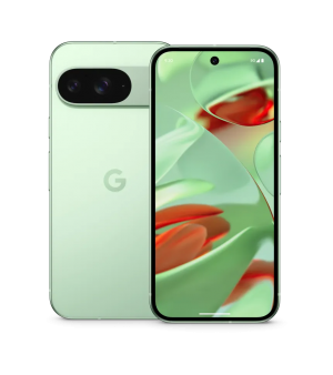 Google Pixel 9 5G Dual Sim 12GB RAM 256GB Wintergreen