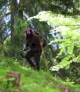 Steiner Observer 8x56
