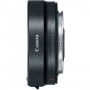 Canon EOS RP + Mount Adapter EF-EOS R