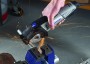 Dremel DSM20 DSM20-3/4 universāls kompaktais zāģis (F013SM20JA)