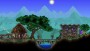 Nintendo Switch Terraria