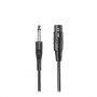 Audio-Technica ATR1300X