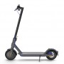 Xiaomi Mi Electric Scooter 3 Black (6934177728624)