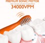 Chain-Peak Kids Sonic Electric Toothbrush Orange + 8 Heads (B09MLNRDPR)