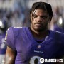 Sony PlayStation 4 EA Sports Madden NFL 25 (PS4)