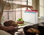 JOSEPH JOSEPH Folio Icon 4-Piece Chopping Board Set with Storage Case + Stainless Steel Japanese Elevate Knife - Silver