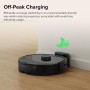 Roborock Q8 Max Black