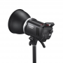 Godox MS300V-F Dual Studio Flash Kit