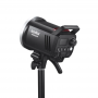 Godox MS300V-F Dual Studio Flash Kit