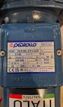 Pedrollo Sūknis ar Рidroforu Futura JETm 2CX-24 CL 0.75kW (1051)